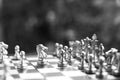Chess board game. Fighting in black and white. Business competitive and strategy planning concept Royalty Free Stock Photo