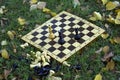 Chess board on the grass