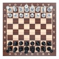 Chess board with chess pieces, top view. 3D rendering Royalty Free Stock Photo