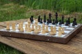 Chess board with chess pieces on wooden desk and green grass Royalty Free Stock Photo