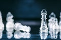 Chess business concept of victory. Chess figures in a reflection of chessboard. Game. Competition and intelligence concept. Royalty Free Stock Photo
