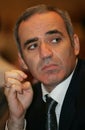 Chess champion Garry Kasparov Royalty Free Stock Photo