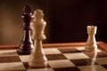 Chess, Checkmate Royalty Free Stock Photo