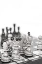 Chess. Chess board. Wooden chess pieces. black and white Royalty Free Stock Photo