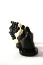 Chess concept of difference Royalty Free Stock Photo