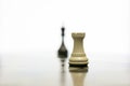 Chess Concept for Institutional Control and Authority Constraint Royalty Free Stock Photo