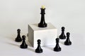 Chess concept, team building, leadership and delegation of authority, workflow.