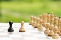Chess conflict concept Royalty Free Stock Photo