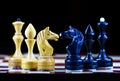 Chess confrontation looks very exciting. Royalty Free Stock Photo