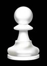 A chess figure is a pawn