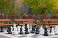 Chess figures in park autumn season Royalty Free Stock Photo