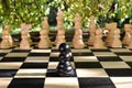 Chess game board with chess wooden pieces Royalty Free Stock Photo