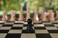 Chess game board with chess wooden pieces Royalty Free Stock Photo