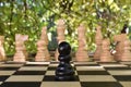 Chess game board with chess wooden pieces Royalty Free Stock Photo