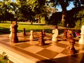 Chess Royalty Free Stock Photo