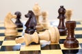 Chess king is checkmated Royalty Free Stock Photo