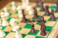 Chess game pieces on the green board Royalty Free Stock Photo