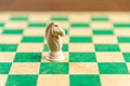 Chess game pieces on the green board Royalty Free Stock Photo
