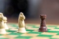 Chess game pieces on the green board Royalty Free Stock Photo