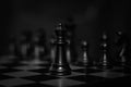 Chess. Game.Strategy. Decision Royalty Free Stock Photo