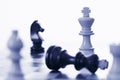 Chess game white king defeating black king Royalty Free Stock Photo