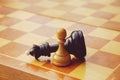 Chess game won by white pawn against black king Royalty Free Stock Photo