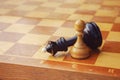 Chess game won by white pawn against black king Royalty Free Stock Photo