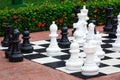 Chess great outdoors Royalty Free Stock Photo