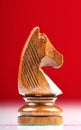 Chess horse Royalty Free Stock Photo