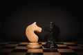 Chess horse Royalty Free Stock Photo