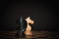 Chess horse Royalty Free Stock Photo