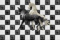chess horses white and black boxes background Royalty Free Stock Photo