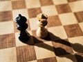 Chess King and Queen facing each other Royalty Free Stock Photo
