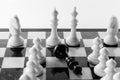 Chess king and queen stand on a chessboard after victory Royalty Free Stock Photo