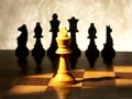 Chess King Spotlight