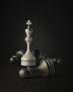 Chess king standing Royalty Free Stock Photo