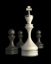 Chess king standing isolated Royalty Free Stock Photo