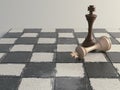 Chess Kings And Board