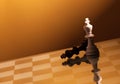 Chess Kings Royalty Free Stock Photo