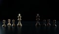 Chess kings face to face on black background. Royalty Free Stock Photo