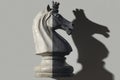 chess knight piece in black and white with shadow Royalty Free Stock Photo