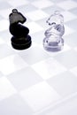 Chess knights Royalty Free Stock Photo