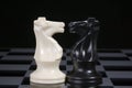 Chess Knights Face to Face Royalty Free Stock Photo