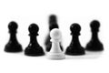 Chess Leadership Royalty Free Stock Photo