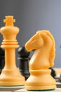 Chess-men Royalty Free Stock Photo