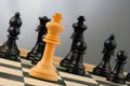 Chess-men Royalty Free Stock Photo