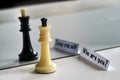 Chess in mirror image, concept search opportunities, self-development, improvement Royalty Free Stock Photo