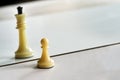 Chess in mirror image, concept search opportunities, self-development, improvement Royalty Free Stock Photo