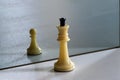 Chess in mirror image, concept search opportunities, self-development, improvement