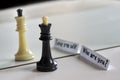 Chess in mirror image, concept search opportunities, self-development, improvement Royalty Free Stock Photo